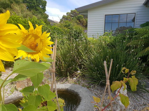 Garden By The Beach - Gateway To The East Coast, Close To Airport - Grafton Accommodation 13