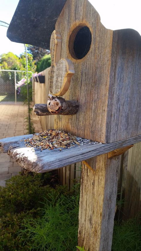 Driftwood-Cottage - Grafton Accommodation 29