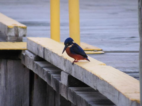 The Crays Accommodation - Grafton Accommodation 37