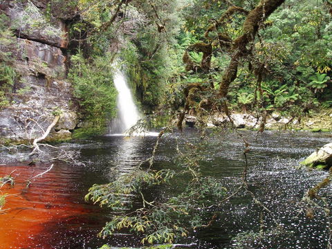 The Crays Accommodation - Grafton Accommodation 38