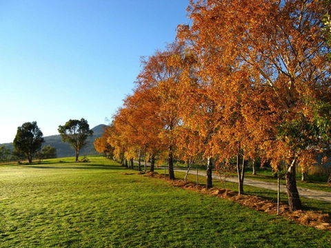 Plovers Ridge Country Retreat - Grafton Accommodation 8