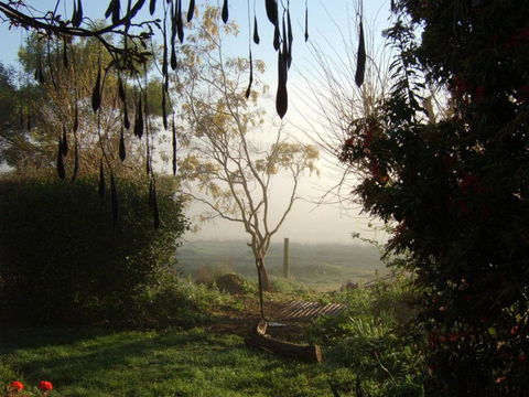 Plovers Ridge Country Retreat - Grafton Accommodation 2