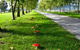 Plovers Ridge Country Retreat - thumb 0