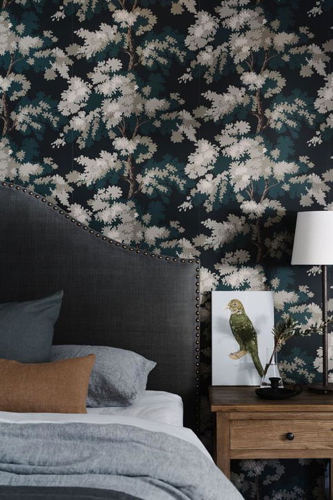 Ship Inn Stanley - Grafton Accommodation 41