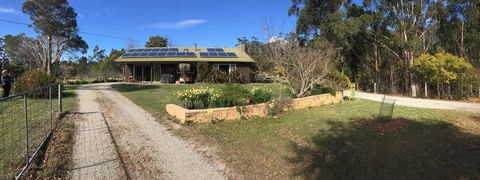 Eureka Farm - Grafton Accommodation 1