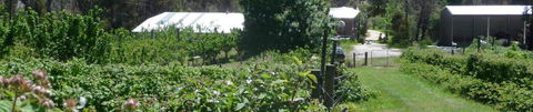 Eureka Farm - Grafton Accommodation 25