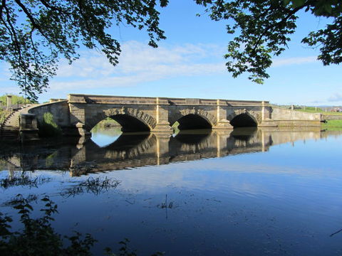 Elm Trees Accommodation @ Ross - Grafton Accommodation 29