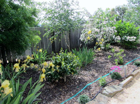 Elm Trees Accommodation @ Ross - Grafton Accommodation 6