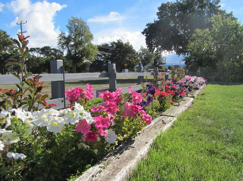 Elm Trees Accommodation @ Ross - Grafton Accommodation 24