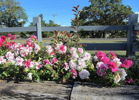 Elm Trees Accommodation @ Ross - Grafton Accommodation 25