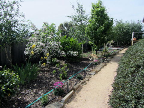 Elm Trees Accommodation @ Ross - Grafton Accommodation 5