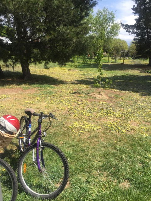 White Croft Cottage - Grafton Accommodation 3