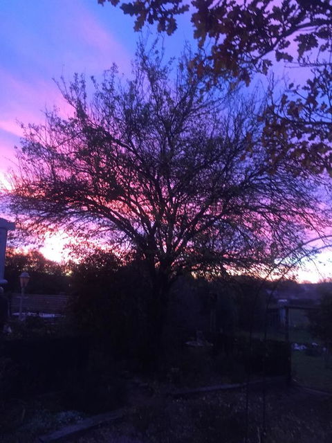 White Croft Cottage - Grafton Accommodation 2