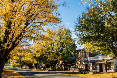 White Croft Cottage - Grafton Accommodation 22