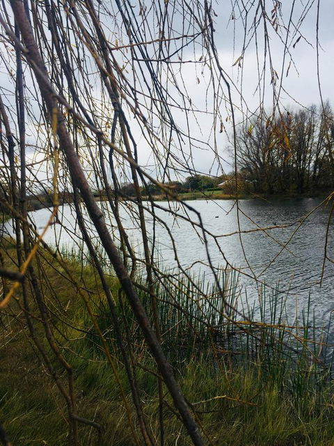 White Croft Cottage - Grafton Accommodation 6