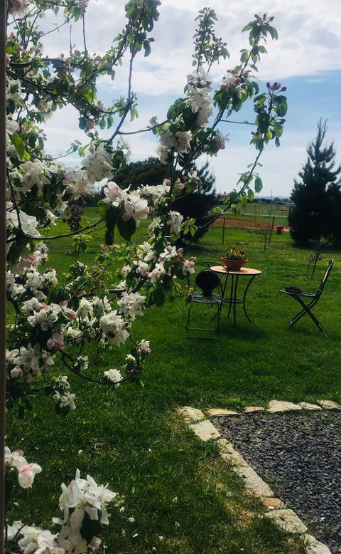 White Croft Cottage - Grafton Accommodation 4