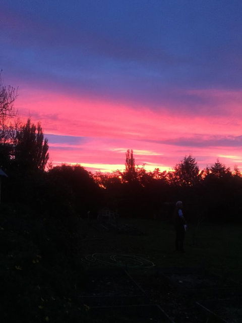 White Croft Cottage - Grafton Accommodation 1