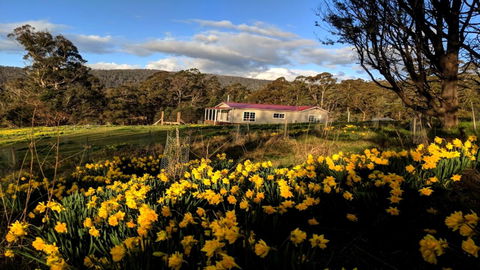 Mountain Blue Guest House - Grafton Accommodation 3
