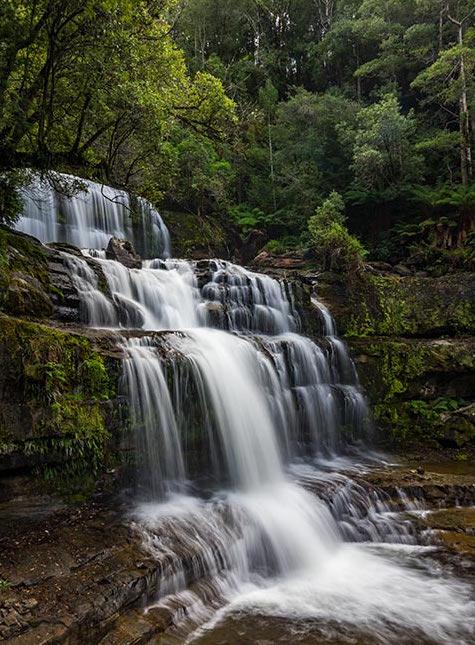 Mountain Blue Guest House - Grafton Accommodation 22