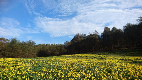 Mountain Blue Guest House - Grafton Accommodation 21