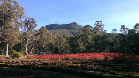 Mountain Blue Guest House - Grafton Accommodation 23