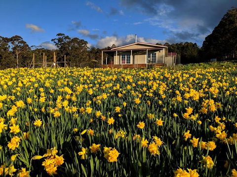 Mountain Blue Guest House - Grafton Accommodation 0
