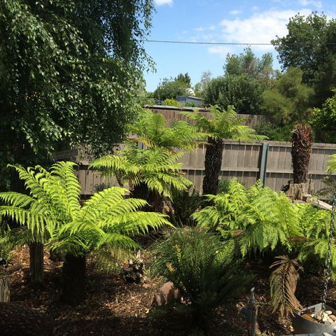 Pinestumps Holiday Home - Grafton Accommodation 14