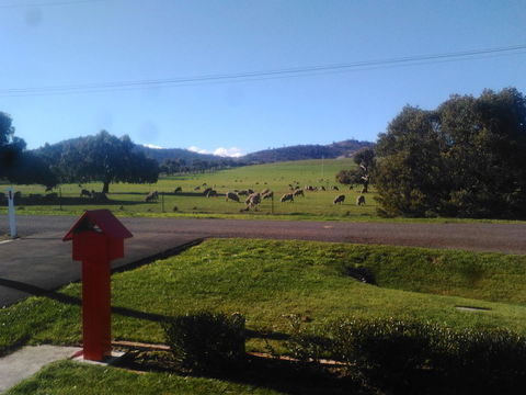 Pinestumps Holiday Home - Grafton Accommodation 11