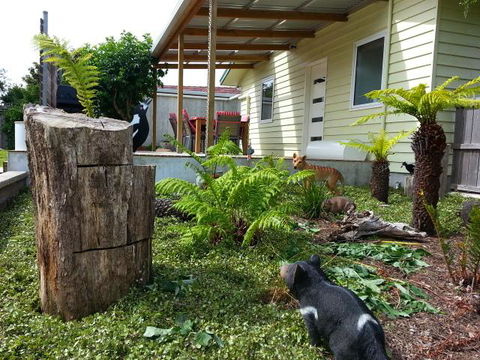 Pinestumps Holiday Home - Grafton Accommodation 12