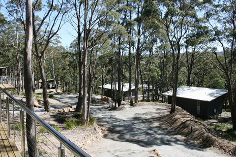Craggy Peaks Wilderness Cabins - Grafton Accommodation 22