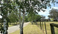 Book Nicholson Accommodation Vacations Grafton Accommodation Grafton Accommodation
