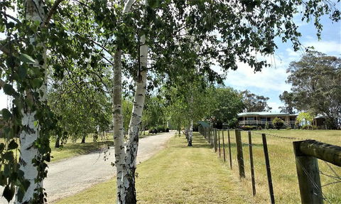 Nicholson BnB And Arts Centre - Grafton Accommodation 0