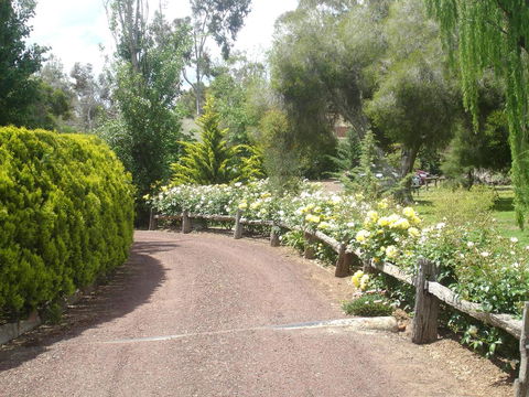 Olde Horsham Motor Inn - Grafton Accommodation 1