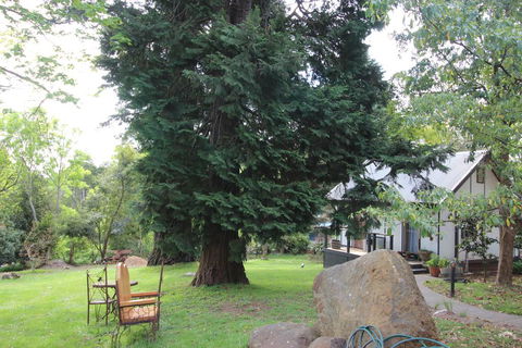 Olinda Country Cottages - Grafton Accommodation 0