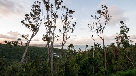 Onestep Airlie Retreat - Grafton Accommodation 0