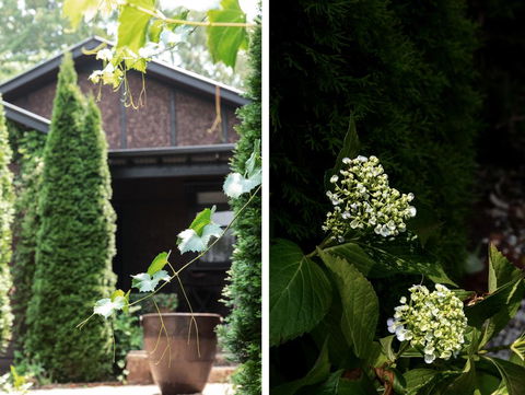 Oscar's Garden - Grafton Accommodation 2