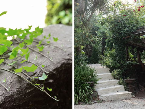 Oscar's Garden - Grafton Accommodation 1