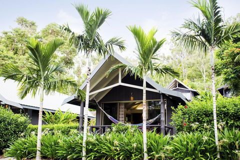 Palm Bungalows - Grafton Accommodation 0