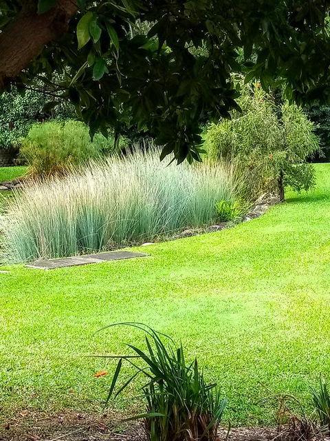 Paradise In The Tropics - Grafton Accommodation 3