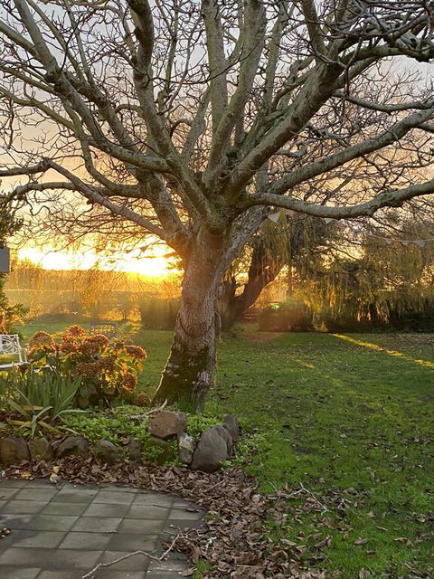 Peg Cottage - Grafton Accommodation 0