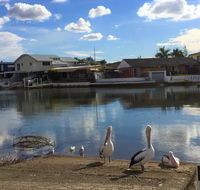 Pelican Cove Apartments - Grafton Accommodation