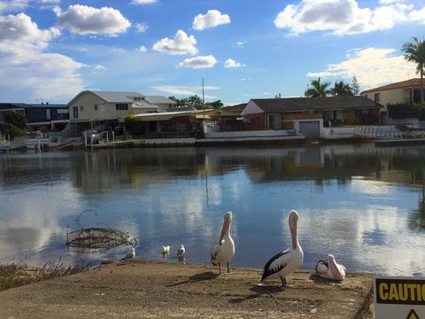 Pelican Cove Apartments - Grafton Accommodation 0
