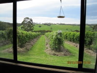 Book Murroon Accommodation Vacations Grafton Accommodation Grafton Accommodation