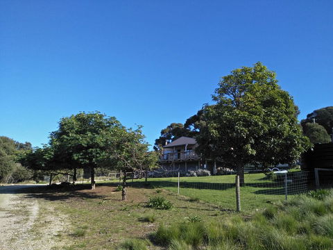 Pine Scrub Beach House - Grafton Accommodation 2