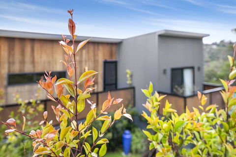 Pretty Haven - Grafton Accommodation 0
