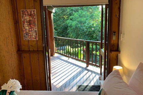 Private Rainforest Retreat With Lagoon Style Pool - Grafton Accommodation 1