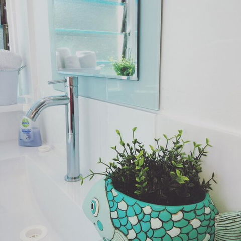 Proserpine Motel - Grafton Accommodation 2