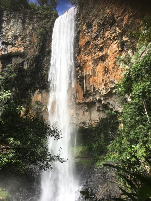 Purling Brook Falls Gwongorella - Grafton Accommodation 0