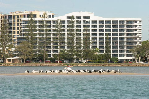 Ramada Golden Beach Unit 506 - Grafton Accommodation 1