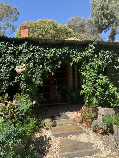Red Hill Cottage - Grafton Accommodation 0